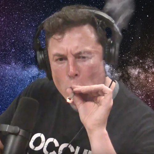 Elon_Musk_Legal_Affairs